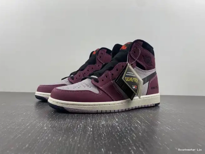 Jordan Air 1 Element Gore-Tex DB2889-500 0501